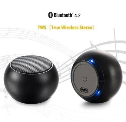 Mini Portable Speaker